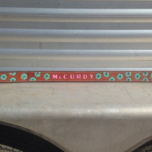 10932635_1394808167496419_551608475_n